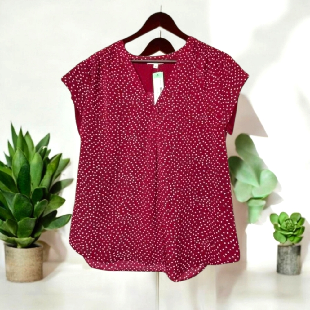 Burgundy V-Neck Blouse